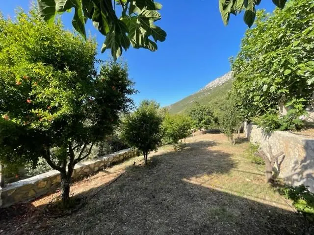 Bezirgan Kalkan Вилла