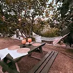 Bezirgan Kalkan Islamlar (Mediterranean)