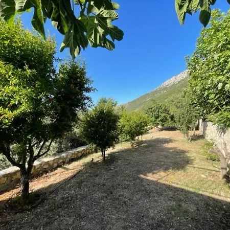 Bezirgan Kalkan Willa