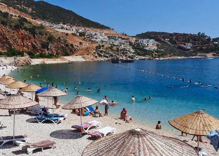 Bezirgan Kalkan
