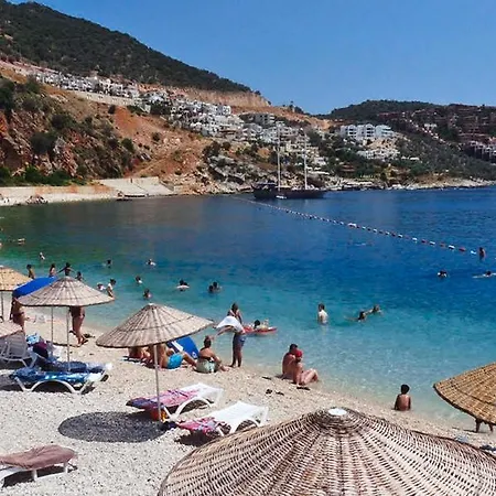 Bezirgan Kalkan